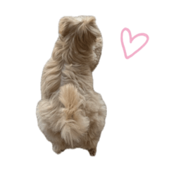 OTSUKA_20251115162816