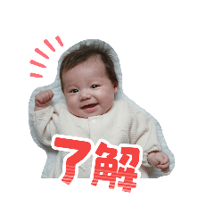 sugar_20251115164222