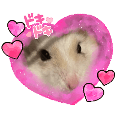 chyobi_20251115171816