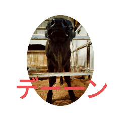 nanami_20251115171914