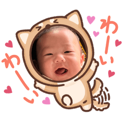 bammbook_20251115171752