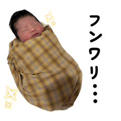 momonga_20251115184738