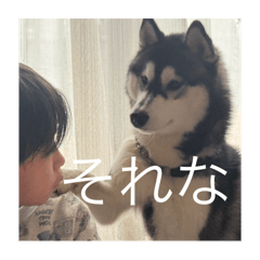 nemunemu_20251115185420