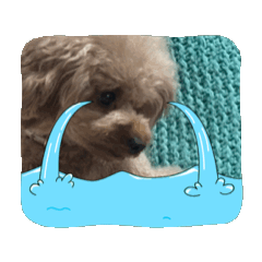 Satochan_20251116091035