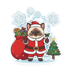 Christmas is coming to you