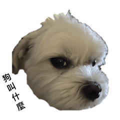 馬爾巨斯：多比