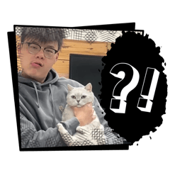 可愛奶油在這裡