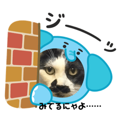 nekomama_20251115191028