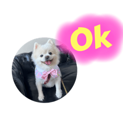 Mimi小網美表情包