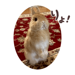 ISSEY_20251115233021