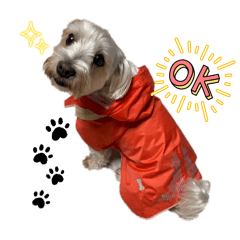 Minatsu_20251115212638