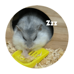 Misaki_20251116001442