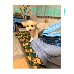 Yuto_20251115222900