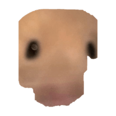 kurogoma_20251116094713