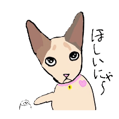 itigo_20251116112433