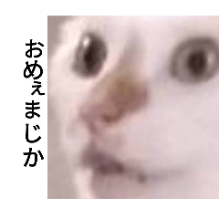 yuzuki_20251115115209