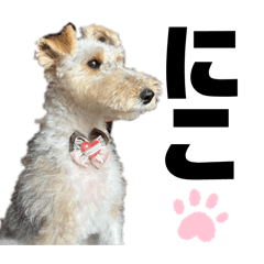 akane_20251115124233