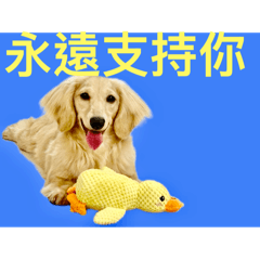 快樂小臘腸9温暖鼓勵