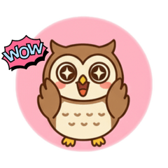 นกฮูกชื่อ “ยูโร”