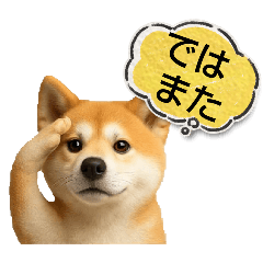 ayame_20251116131326