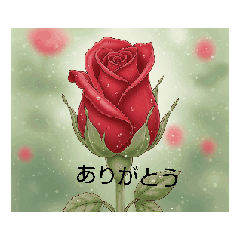 sugar_20251116114602