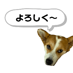 INUMHA_20251116124059