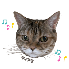 haruka_20251116125357