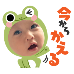 -HachiHachi-