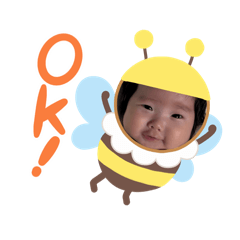 kinako_20251116125824