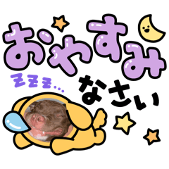 smile_20251116134651