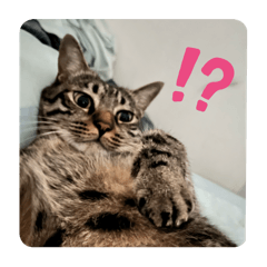 龍龍&元元（1）