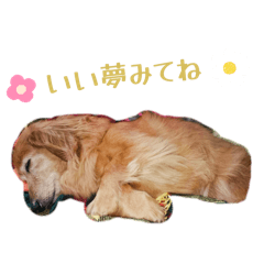 sumire_20251116002106