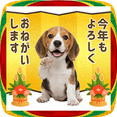 Year-end and New Year beagle