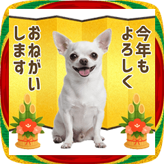 Year-end and New Year chihuahua