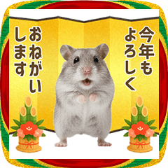 Year-end and New Year hamster