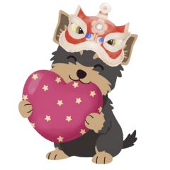 獅頭約克夏的百變生活