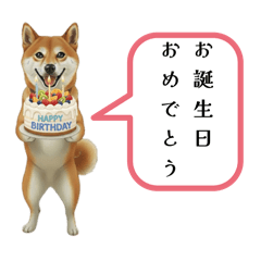 mariagoku_20251114164000