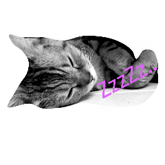 Alice cat ver.1
