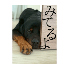 kaori_20251114161815