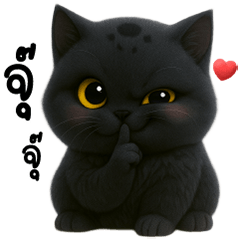 เหมี๊ยว เหมี๊ยว แมวดำตัวกลม น่ารัก