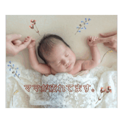 misaki_20251116151909