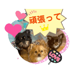 Akane_20251116193504