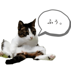 Pufu Kuro Toto Riku Selections