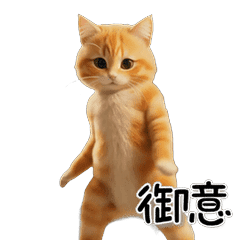 Dancing Cat! The Forever Dance Pack