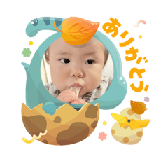 utachan_20251116164733