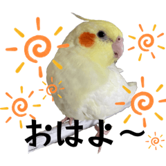 chihiro_20251116150321