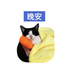 趴賓日常-生活篇