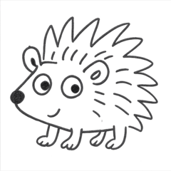 All Kinds of Hedgehogs