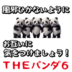 THE PANDA6