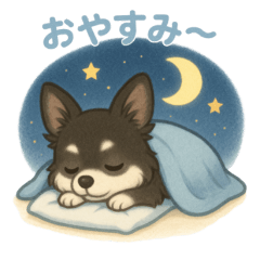 Cute Chihuahua Daily Talk